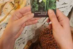 IMG-20260616-WA0020