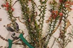 IMG-20260616-WA0023