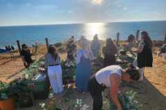 IMG-20260616-WA0034