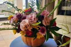 IMG-20260616-WA0051