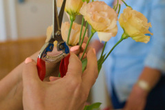 IMG-20260616-WA0056