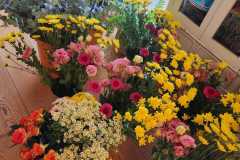 IMG-20260616-WA0061