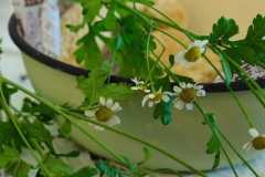 IMG-20260616-WA0077