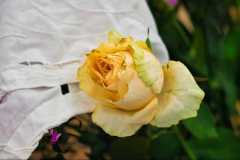 IMG-20260616-WA0083