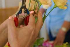 IMG-20260616-WA0088