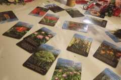 IMG-20260616-WA0097