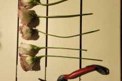 IMG-20260616-WA0099