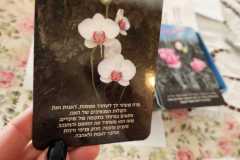 IMG-20260616-WA0105