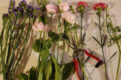 IMG-20260616-WA0107